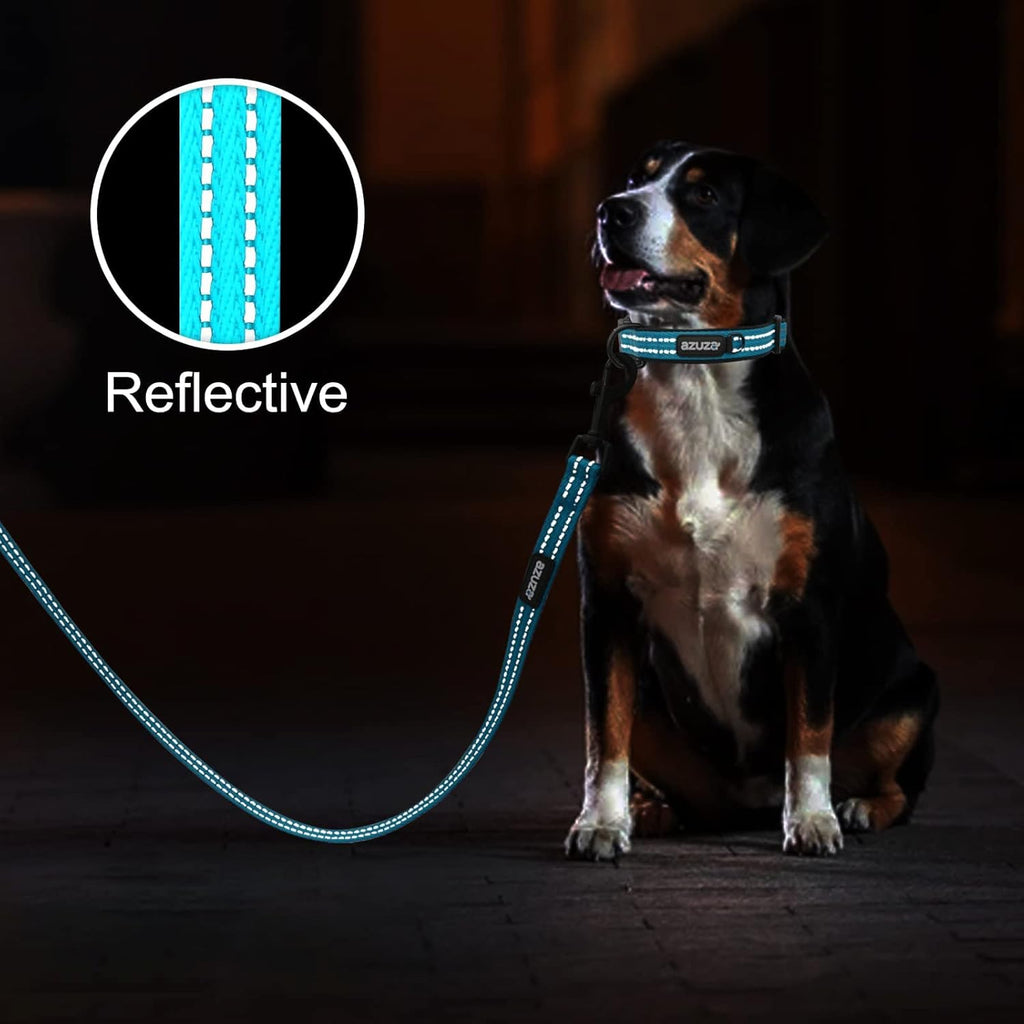 Premium Dog Leash & Collar Set – Soft Padded, Reflective with Built-In AirTag Holder for Medium Dogs, Blue