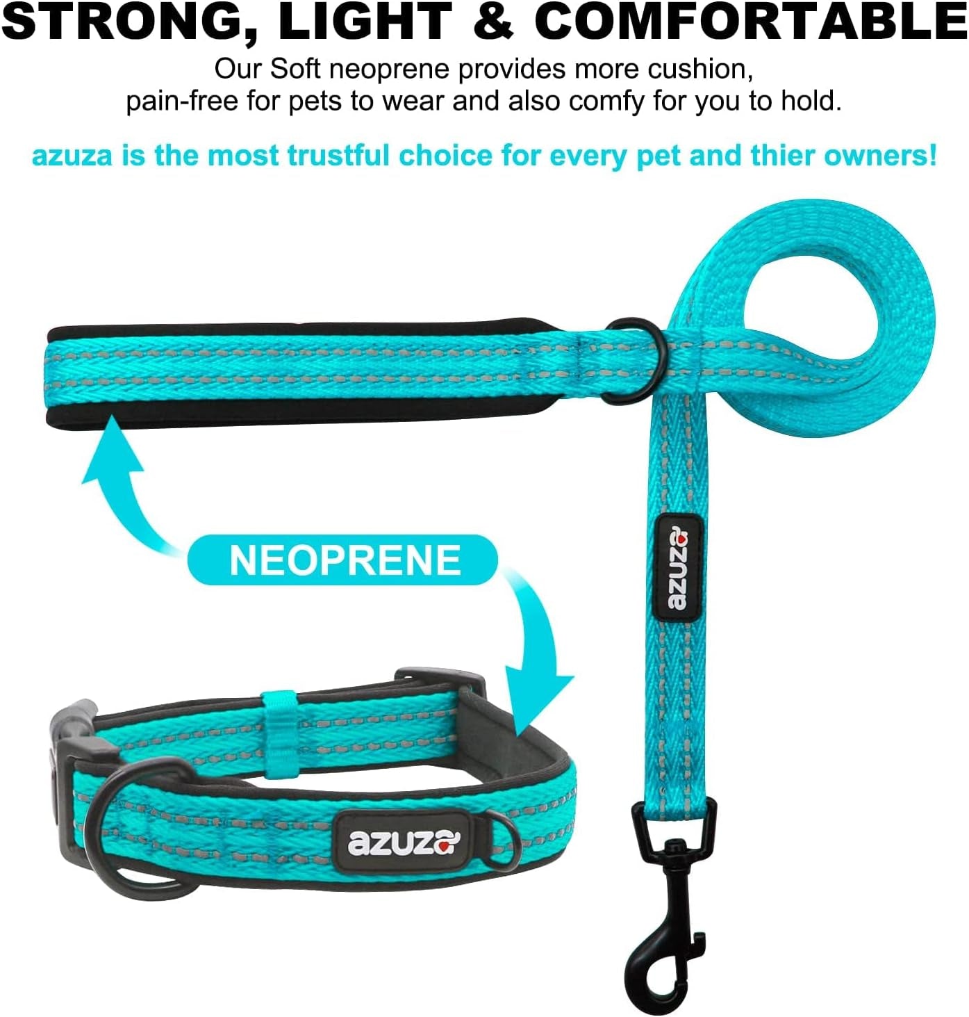 Premium Dog Leash & Collar Set – Soft Padded, Reflective with Built-In AirTag Holder for Medium Dogs, Blue