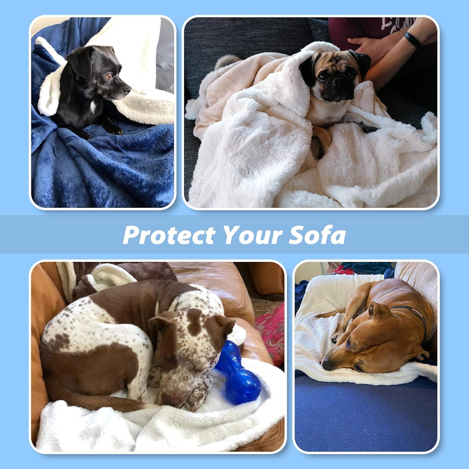 Soft Fluffy Fleece Dog Blanket for Large Dogs – Washable Pet Throw for Couch, Sofa, Dog Bed, Crate & Car Seat, 50" x 60", Black