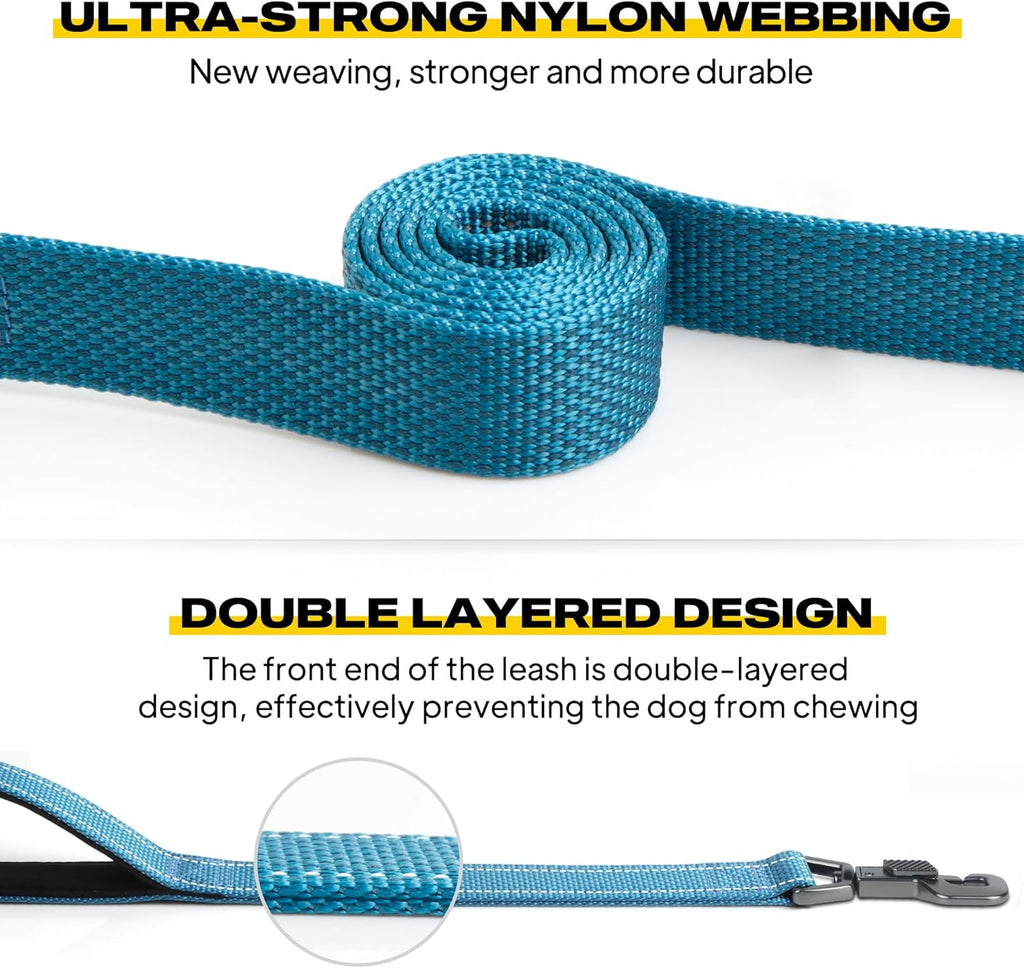     Heavy Duty Dog Leash, 5 FT, Dual Padded Handles, Reflective, Blue