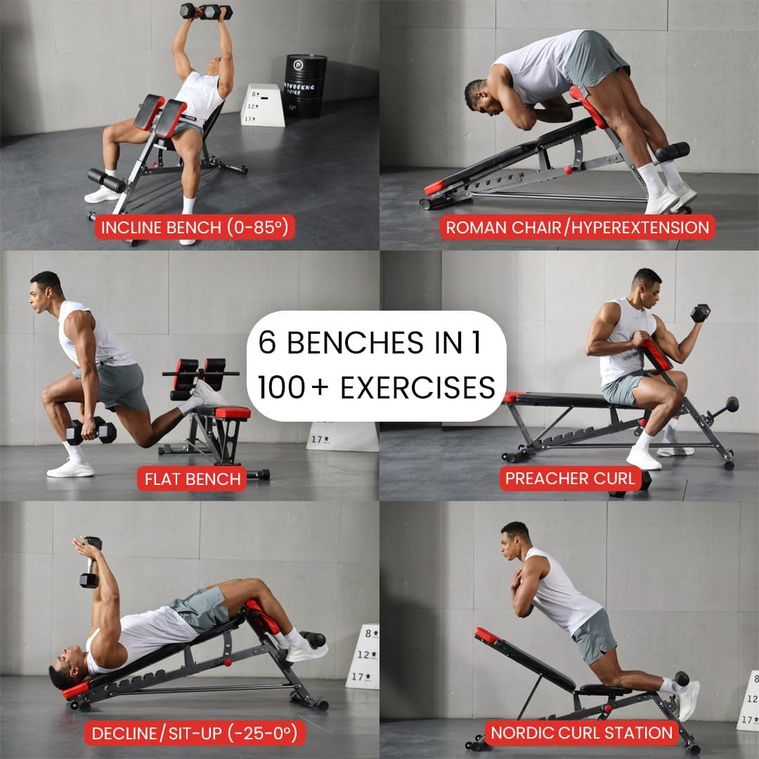 Finer Form Adjustable FID Weight Bench & Roman Chair, 1,000 lb Capacity, 23 Position Flat/Incline/Decline Workout Bench for Full Body Strength Training, Home Gym with Transport Wheels