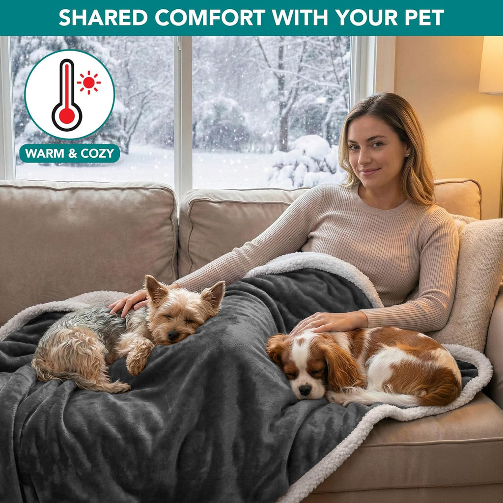Waterproof Dog Blanket for Small Dogs & Cats – 29" x 40" Reversible Sherpa Fleece Pet Blanket, Pee-Proof Furniture Protector for Couch, Sofa & Kennel, Washable, Charcoal