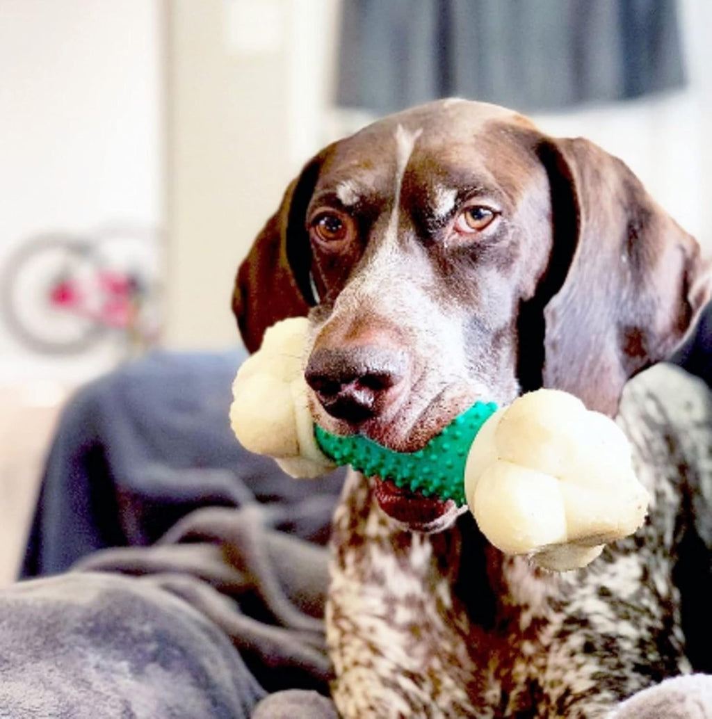 Power Chew Dog Toy for Aggressive Chewers – X-Large Durable Barbell Bone with Teeth-Cleaning Texture for Large Dogs 50+ lbs