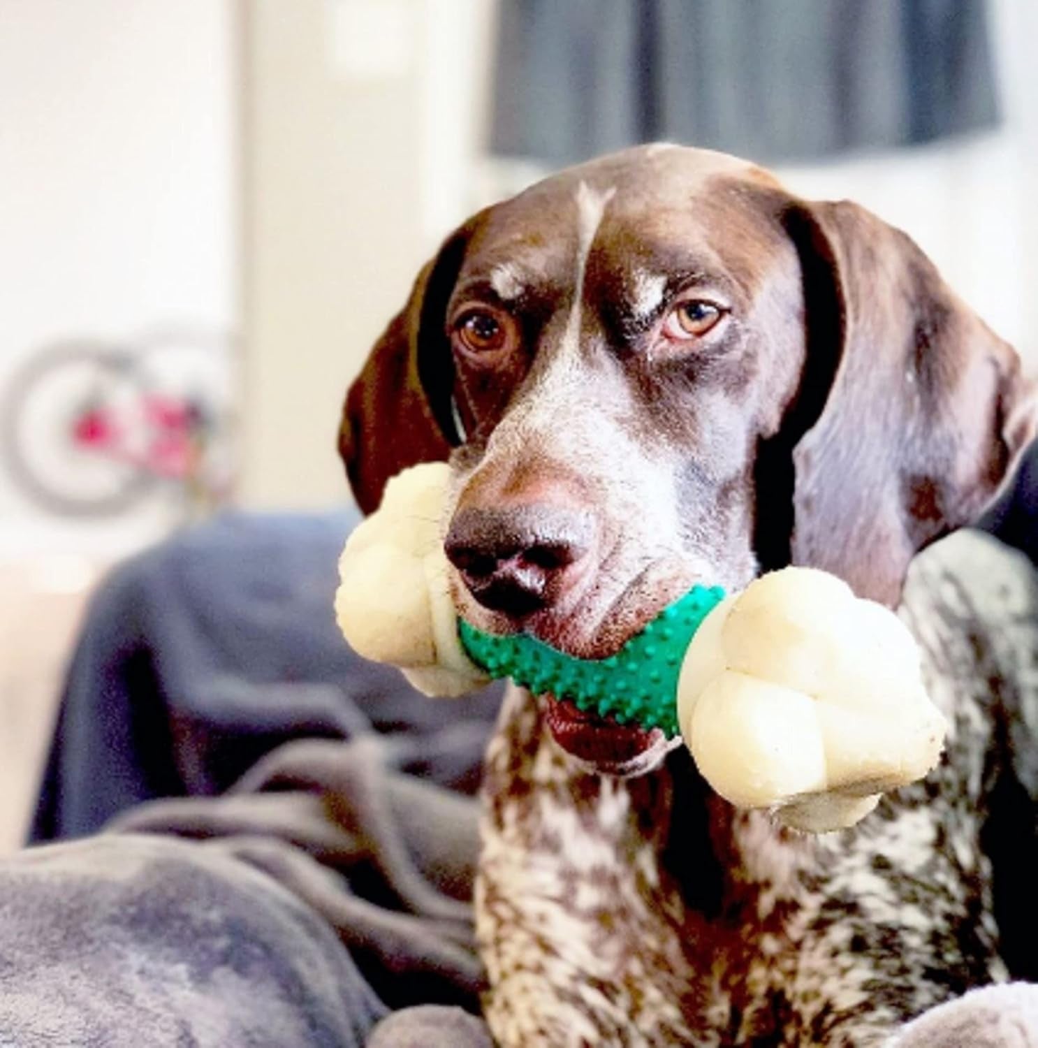 Power Chew Dog Toy for Aggressive Chewers – X-Large Durable Barbell Bone with Teeth-Cleaning Texture for Large Dogs 50+ lbs