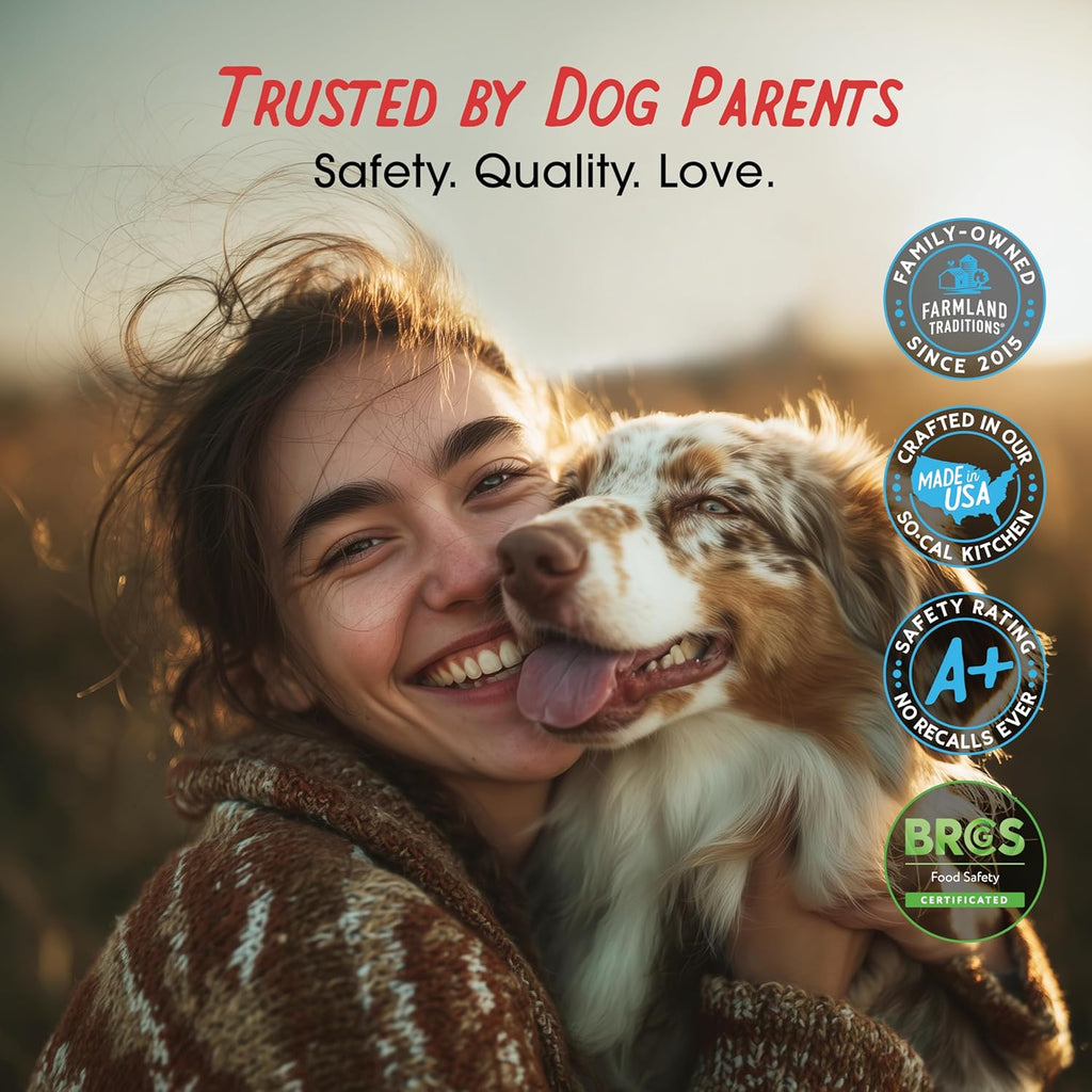 Filler-Free Chicken Jerky Treats for Dogs – Premium Natural Chicken Dog Treats, 3 lb Bag